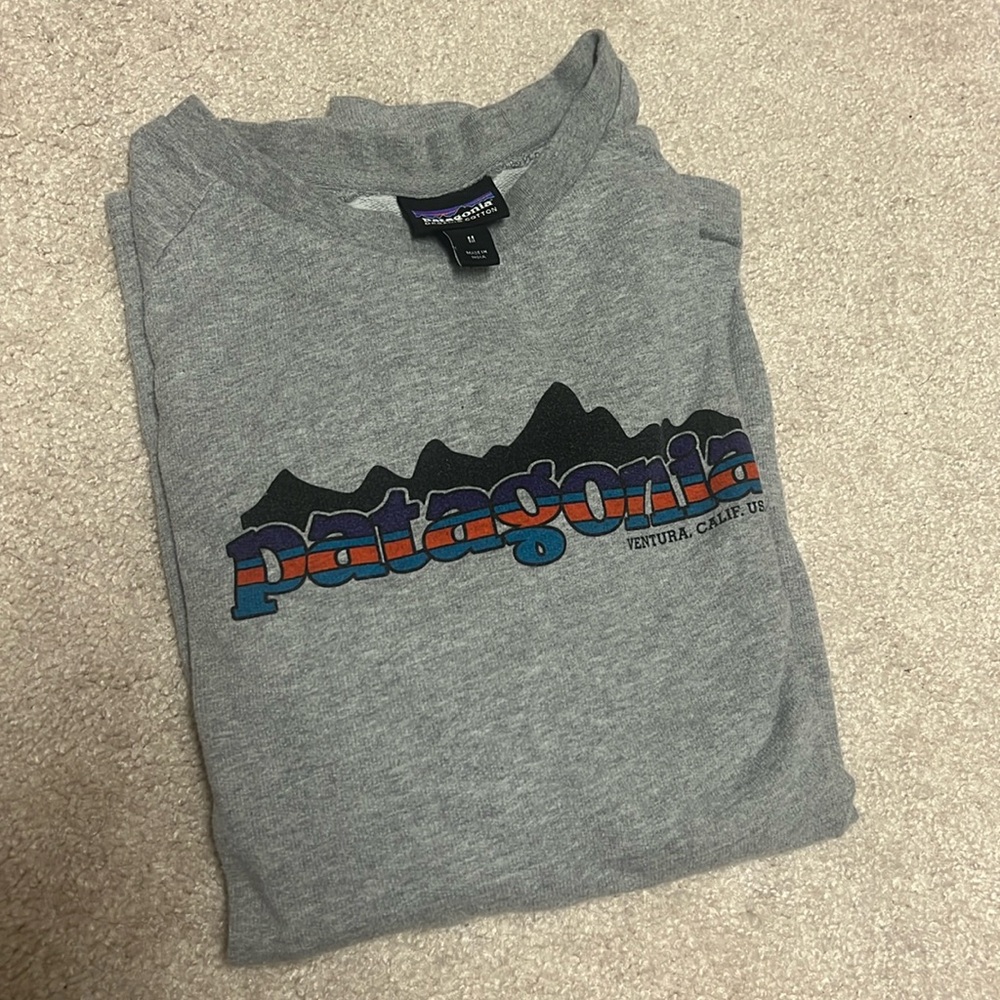 Patagonia Gray Crewneck Sweatshirt with Multicolor Logo
